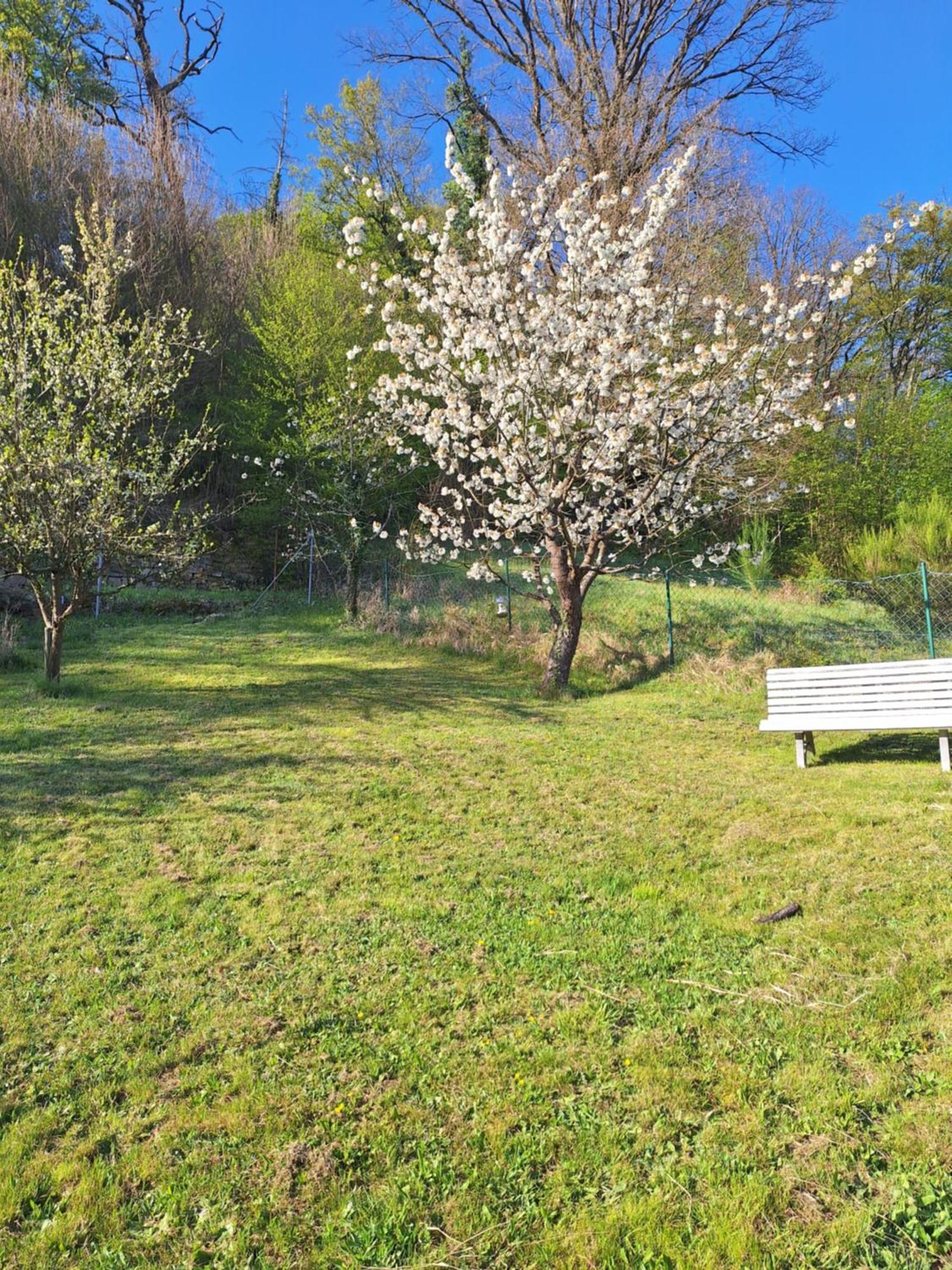 Kleines Domizil Am Suedhang Ortenberg  Δωμάτιο φωτογραφία